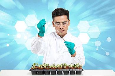 像吃菌子拍出来的 《宝可梦传说Z-A》新Mega预告